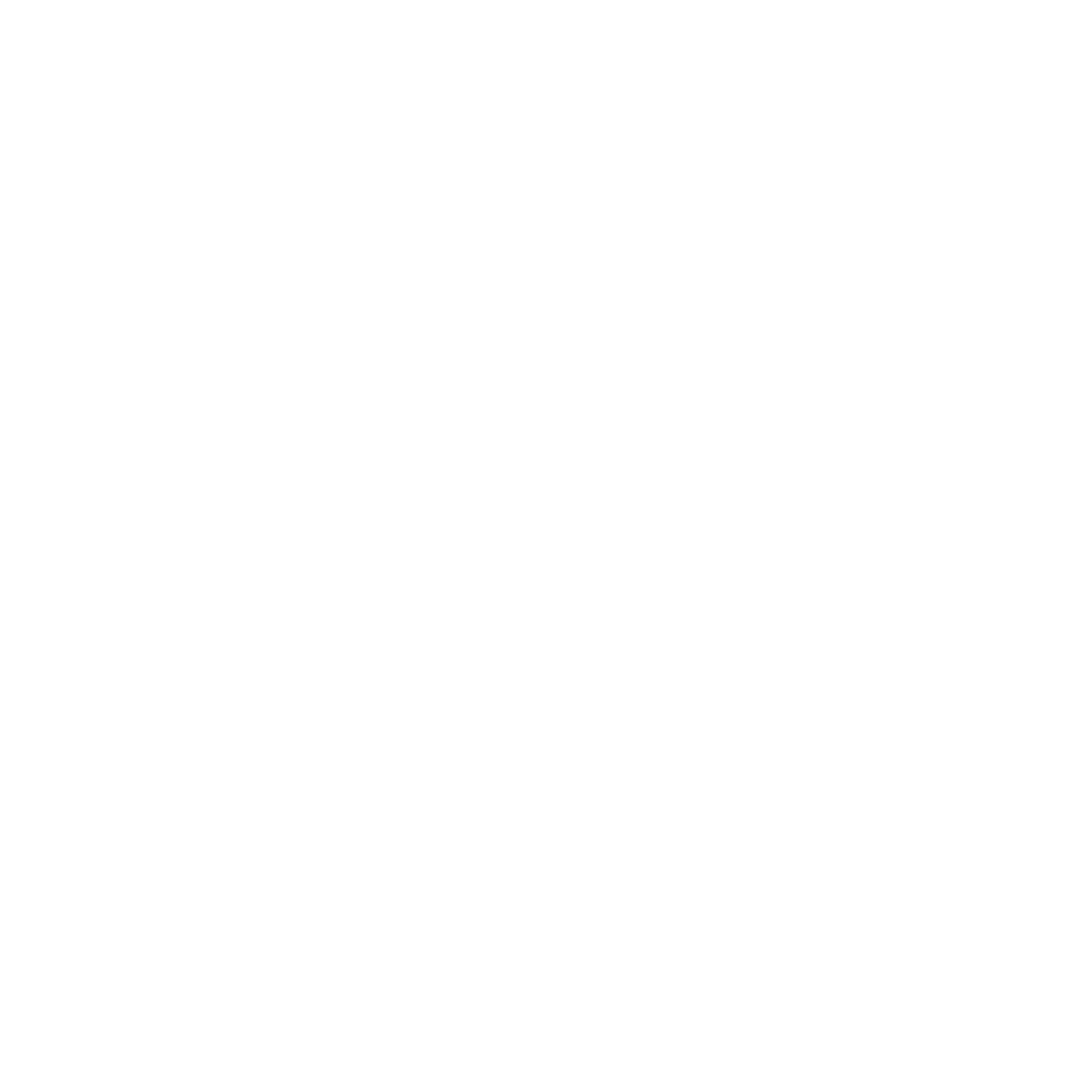 CLEP 'N FLYY